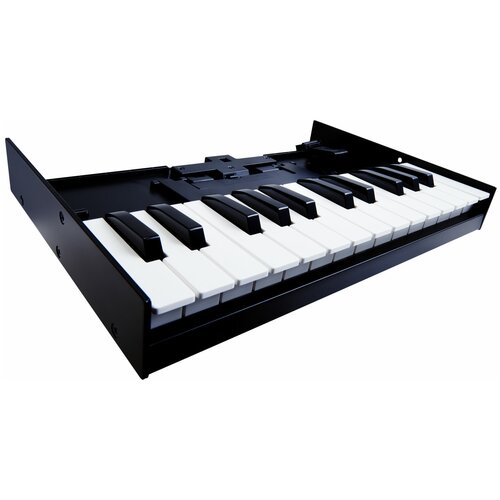 Roland K-25m usb midi клавиатура roland k 25m 25 клавиш k 25m usb midi keyboard