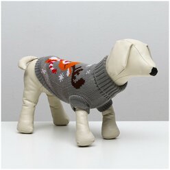 Лучшие Пуловеры для собак