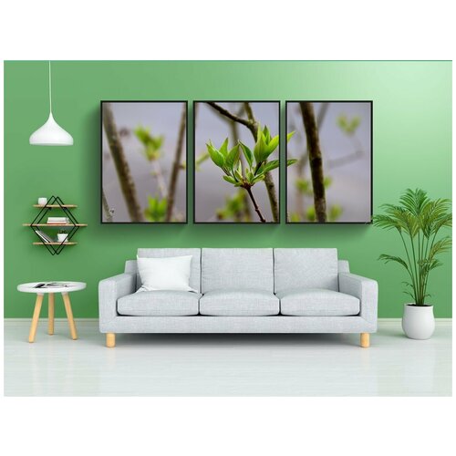 фото Набор модулных постеров для интерьера "листья, зеленый, сирень дерево бутоны" 60x90 см. в тубусе, без рамки lotsprints