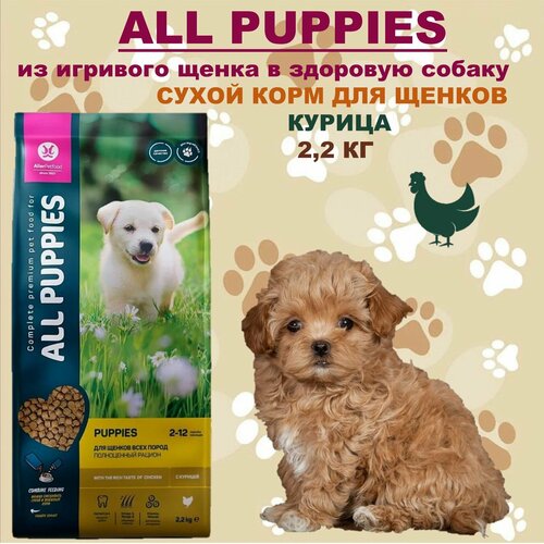 Корм сухой для собак All Puppies курица 2,2 кг / Аллер Петфуд