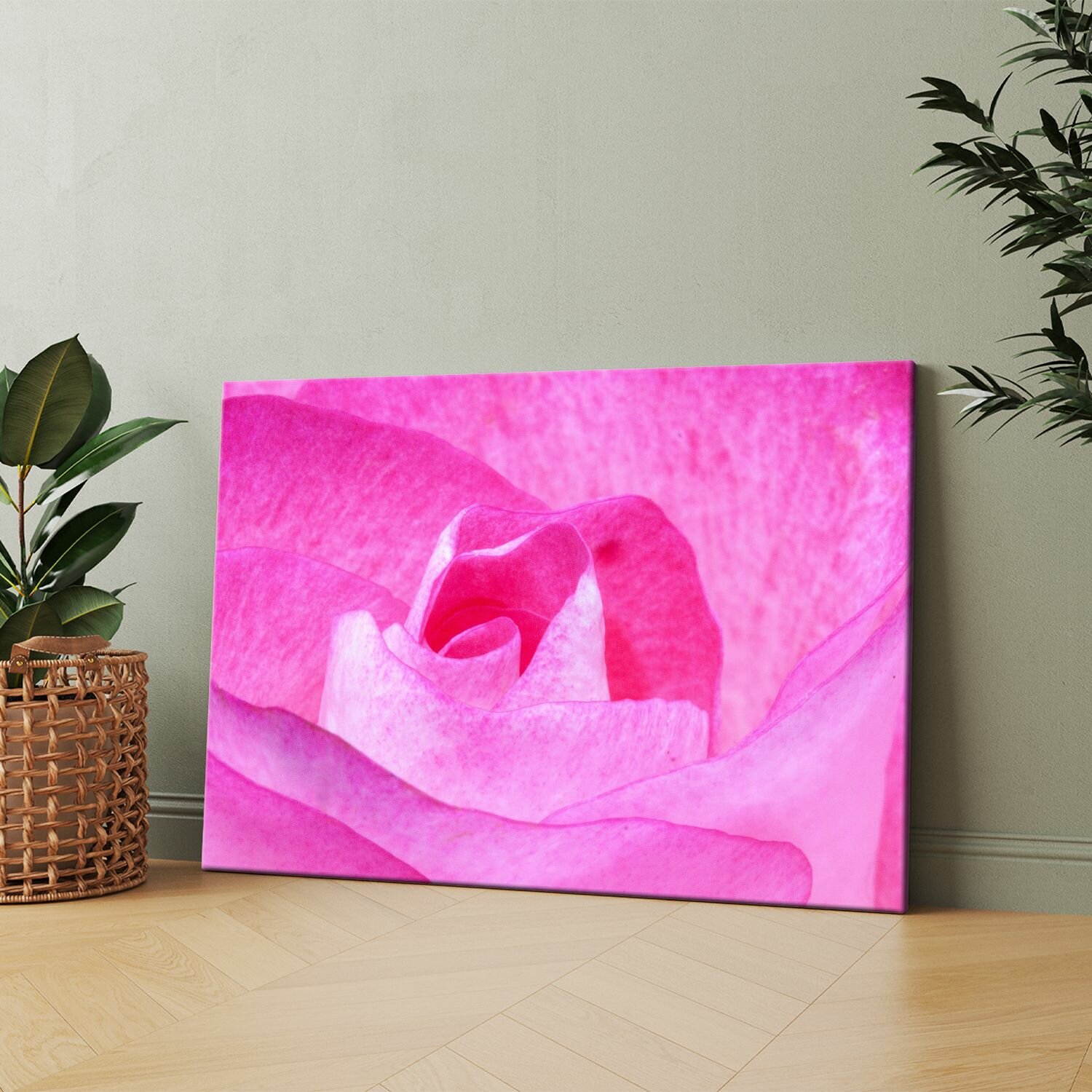 Картина на холсте (Крупный план розового цветка розы) 50x70 см. Интерьерная на стену.