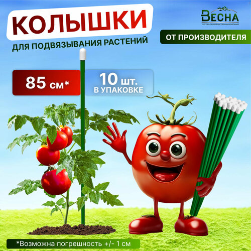 Колышки садовые Весна 85см 10шт для подвязки томатов, огурцов и других растений колышки садовые обработанные антисептиком 0 5 м измеритель почвы