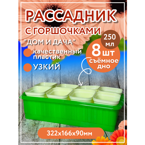 Рассадник на 8 стаканчиков (горшочков), зеленый рассадник на 8 стаканчиков горшочков шоколадный