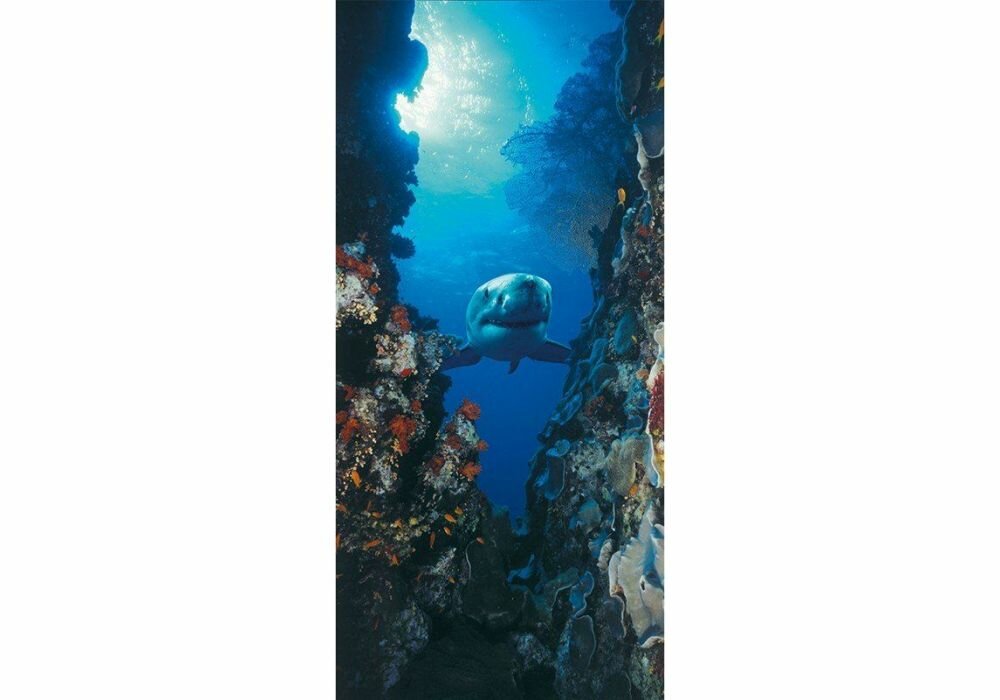 фото Фотообои Komar бумажные 2-1002 0,97*2,2 2полотна, клей в комплекте