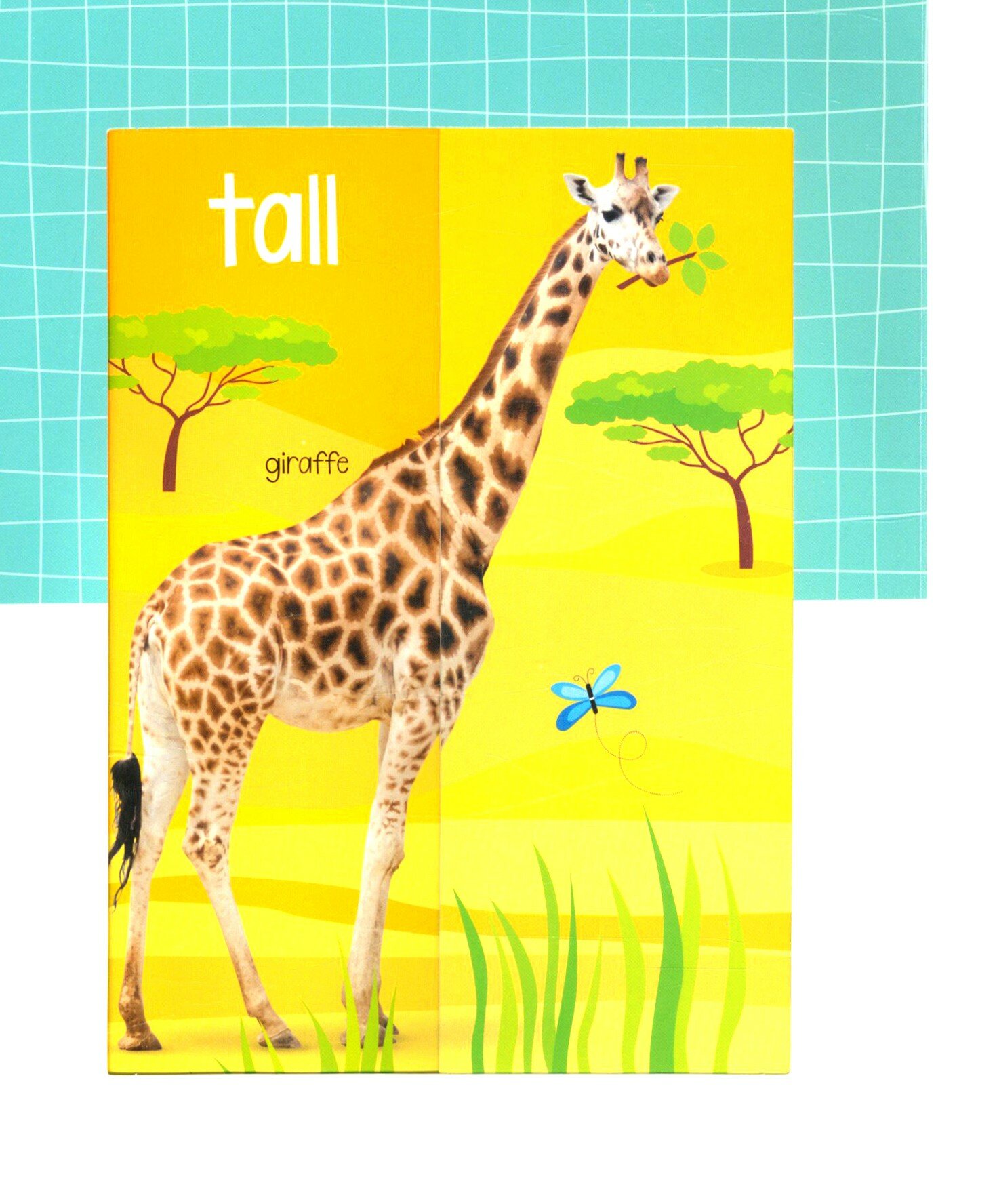 Amazing Animals Big and Small (без автора) - фото №3