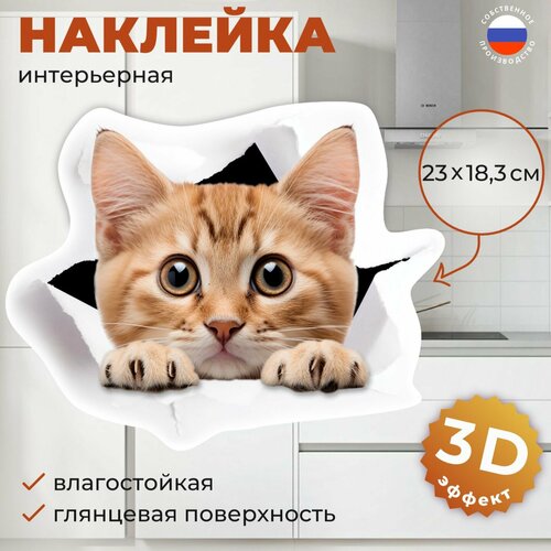 Наклейка на холодильник и унитаз с Котом