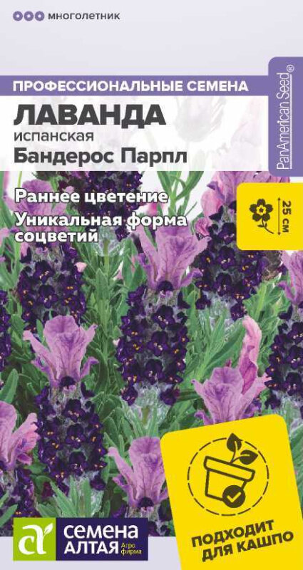 Семена Лаванды испанской "Бандерос парпл" (5 семян)