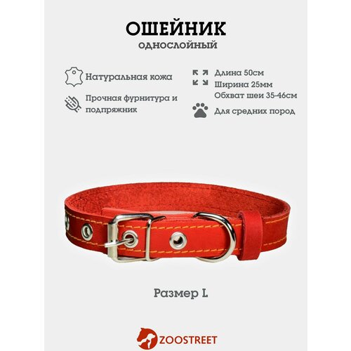 Ошейник для собак средних пород кожаный, однослойный, 25мм, 50см, с подпряжником L