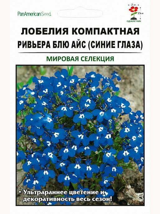 Лобелия компактная Ривьера Блю Айс 10шт (мировая селекция)