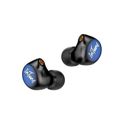 Наушники iBasso IT01X черный 1190000₽