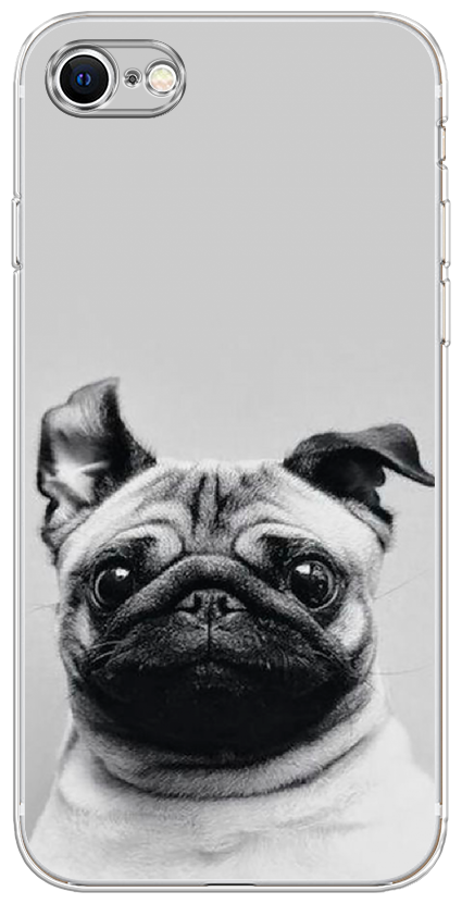 Силиконовый чехол на Apple iPhone 7 / Айфон 7 "Ушастый мопс"