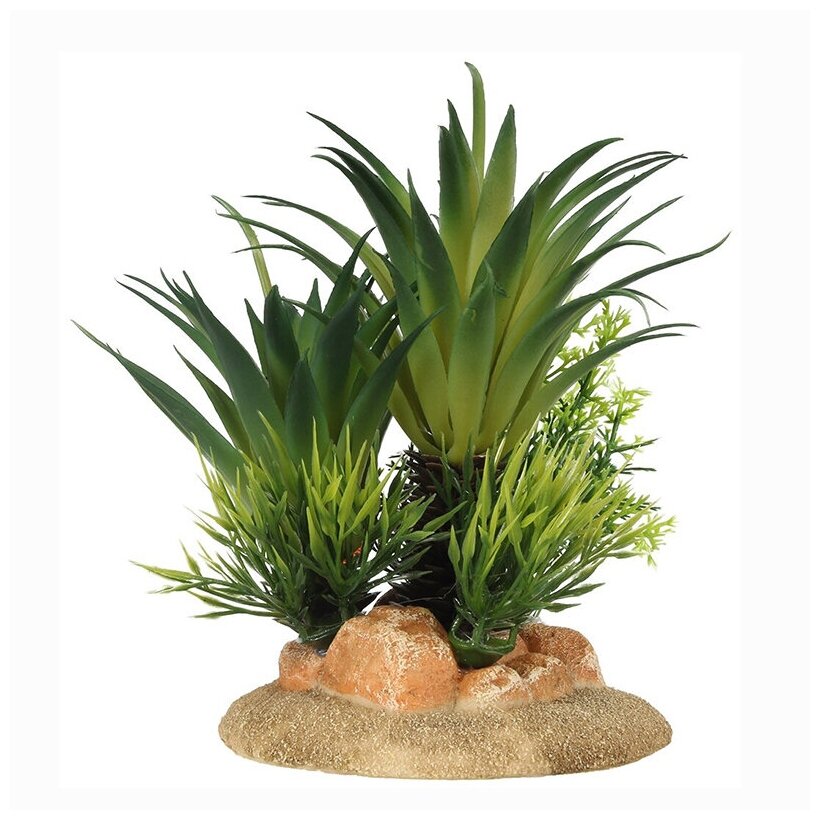 Растение для аквариумов AQUA DELLA "Sago Palm", 13.5x10x16см (Бельгия)