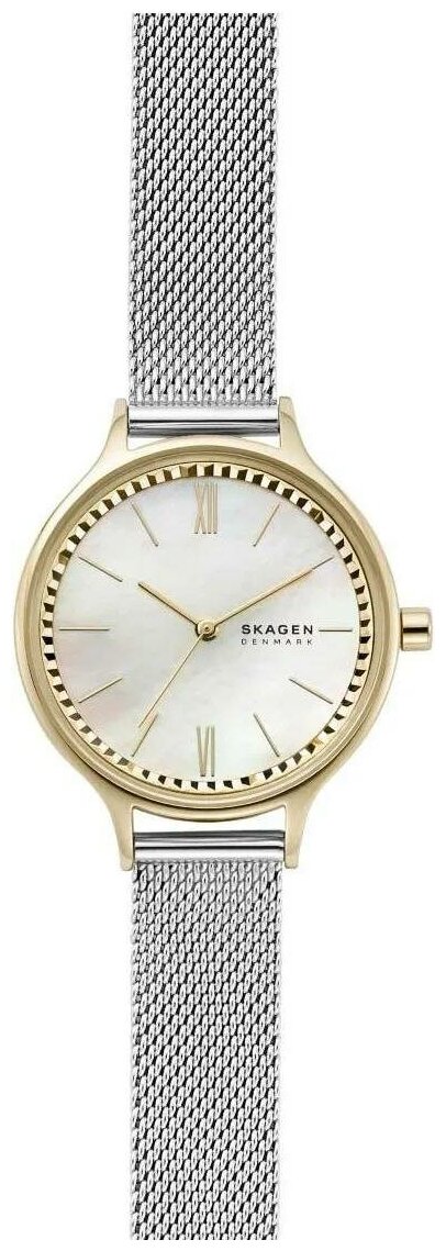 Наручные часы SKAGEN Наручные часы Skagen SKW2866, серебряный, золотой