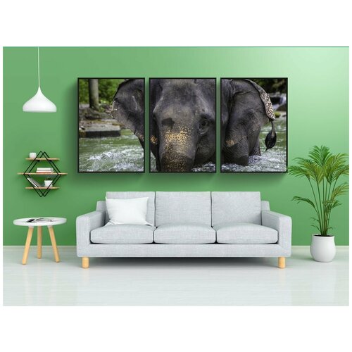 фото Набор модулных постеров для интерьера "азиатский слон, слоненка, таиланд" 60x90 см. в тубусе, без рамки lotsprints