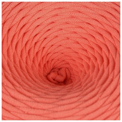 Елена и Ко Пряжа трикотажная широкая 50м/160±20гр, ширина нити 7-9 мм (лососевый)