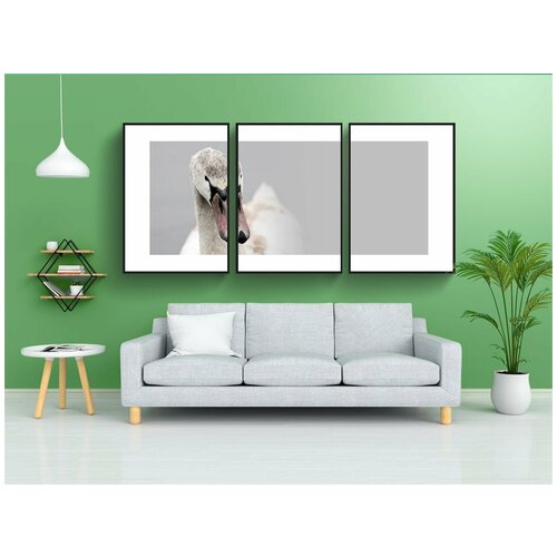 фото Набор модулных постеров для интерьера "лебедь, гордый лебедь, гордо" 60x90 см. в тубусе, без рамки lotsprints