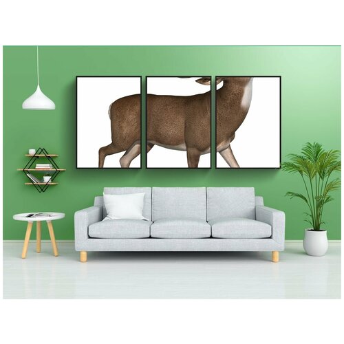 фото Набор модулных постеров для интерьера "доллар, олень, дикая природа" 60x90 см. в тубусе, без рамки lotsprints