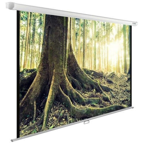 Экран CACTUS WallExpert CS-PSWE-220x220-WT настенн модульная картина вечерние краски милана 220x220