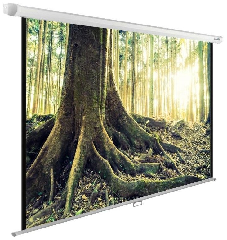 Экран Cactus 220x220 см WallExpert CS-PSWE-220x220-WT (CS-PSWE-220X220-WT)