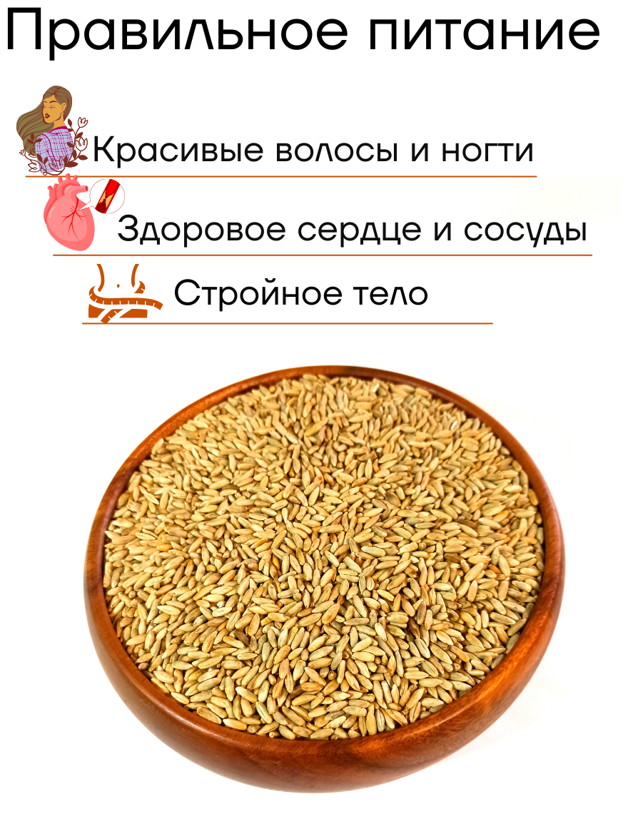 Рожь, био зерно, микрозелень, для проращивания, диетические продукты питания, бакалея, крупа, аратай, 1 кг - фотография № 5