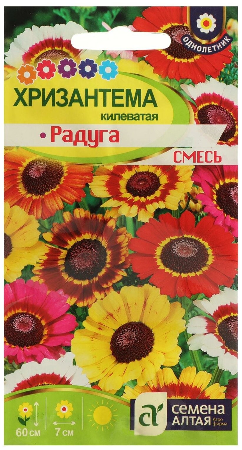Семена цветов Хризантема "Радуга", килеватая, Сем. Алт, ц/п, 0,5 г - фотография № 1