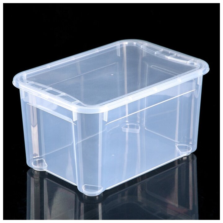 Econova Ящик для хранения с крышкой «Кристалл XS Plus», 16 л, 38,9x27,5x21,5 см, цвет прозрачный