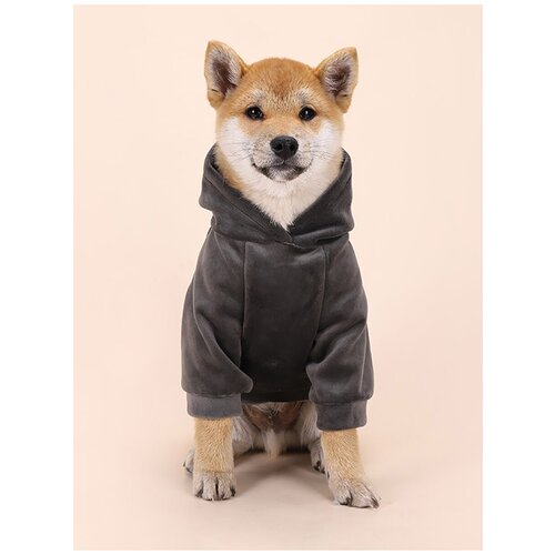 Одежда для собак худи серая Размер: XL (Обхват: 56 см, Длина: 40 см)