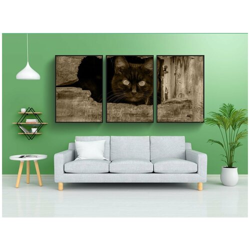 фото Набор модулных постеров для интерьера "черный кот, взгляд, домашние животные" 60x90 см. в тубусе, без рамки lotsprints