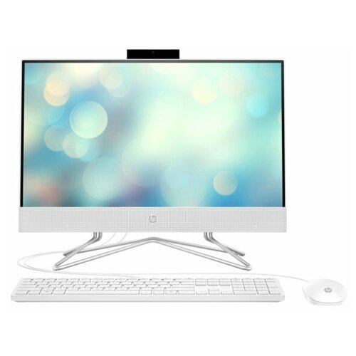 Моноблок HP 22-df1050ur 496X2EA 7313000₽