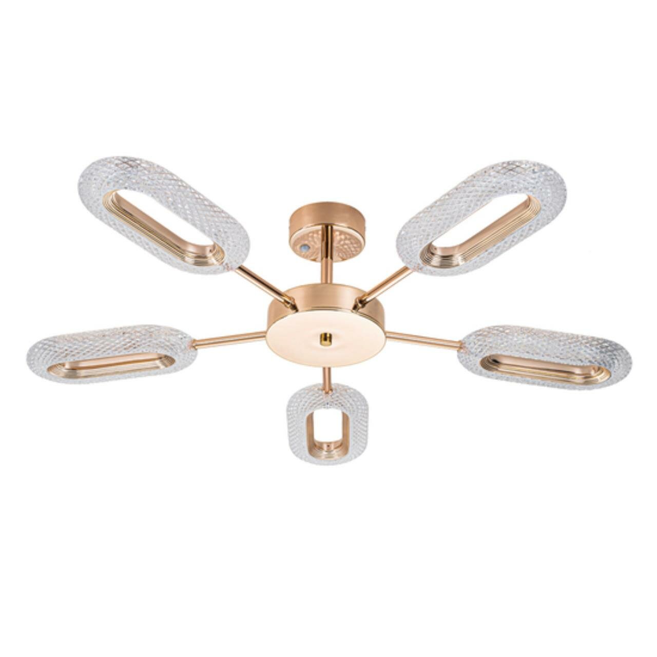 Потолочная люстра IP20 металл/акрил Arte LAMP OVALE A2489PL-5GO