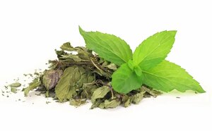 Основная фотография от вендора