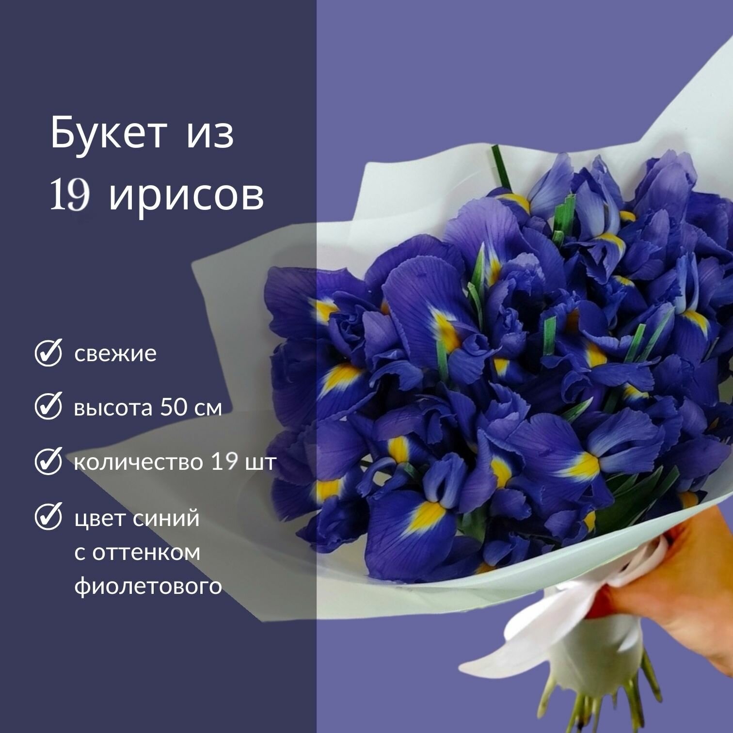 Букет ирисы фиолетовые 19шт 50см живые свежие