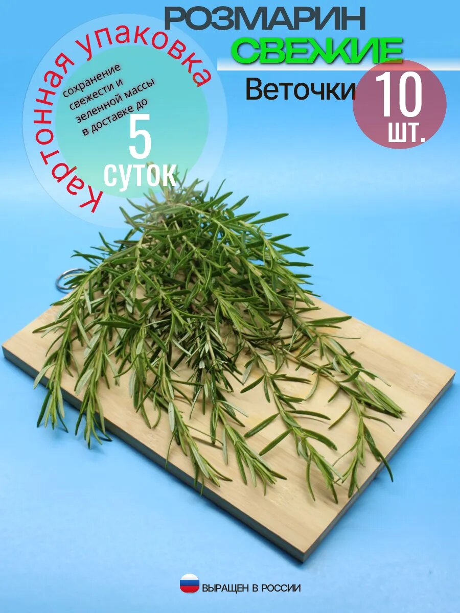 Розмарин веточки свежие по 15 см =10 шт.