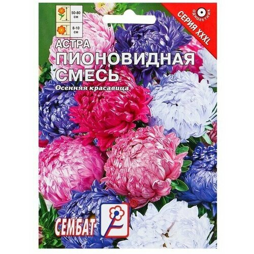 Семена цветов ХХХL Астра Сембат, Пионовидная смесь, однолетник, 2 г 2 упаковки набор семян астры пионовидная смесь 0 2 г смесь превосходная 0 2 г