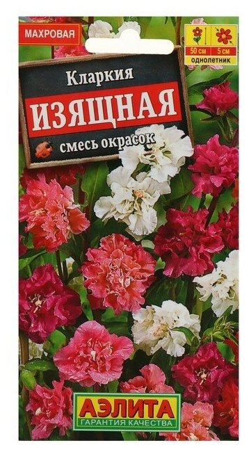 Семена цветов Кларкия изящная, смесь окрасок, О, 0,3 г