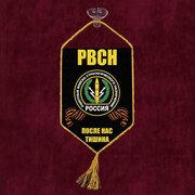 Автомобильный вымпел "РВСН" с девизом 10x15 см