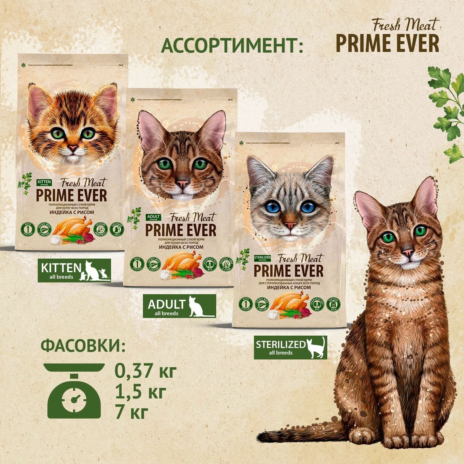 Сухой корм для котят всех пород индейка с рисом Prime Ever Fresh Meat Kitten, 370 г - фотография № 8