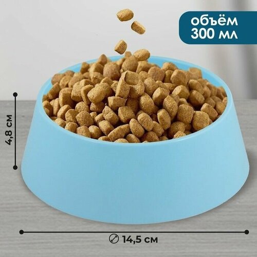 Миска пластиковая 300 мл голубая 428₽
