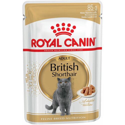 сухой корм для кошек royal canin british shorthair adult корм для британских короткошерстныхстарше 12 месяцев 400 г Влажный корм (28 шт х 85 г) для кошек британской короткошерстной породы старше 12 месяцев Royal Canin BRITISH SHORTHAIR ADULT, кусочки в соусе