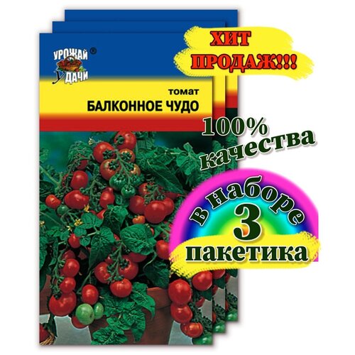 Семена томата балконное чудо семена томата балконное чудо