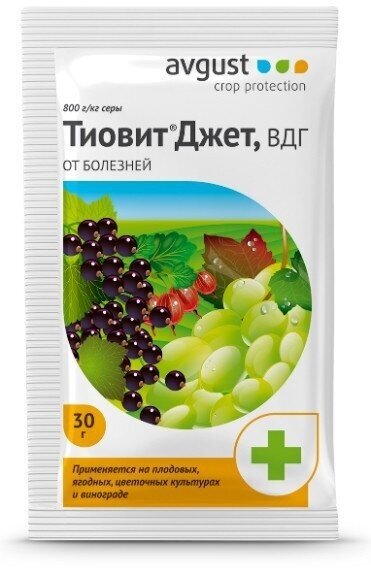 Средство защиты от болезней растений "Тиовит Джет" 30г водно-диспергируемые гранулы, пакет (Россия) - фотография № 2