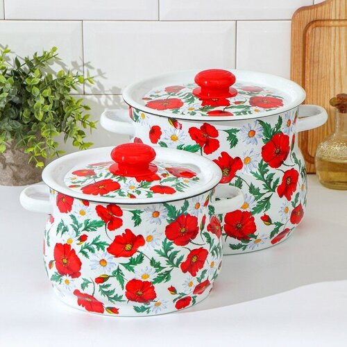 Набор кастрюль Маки сибирские 2 предмета 4 л 55 л эмалированные крышки индукция цвет белый 4558₽