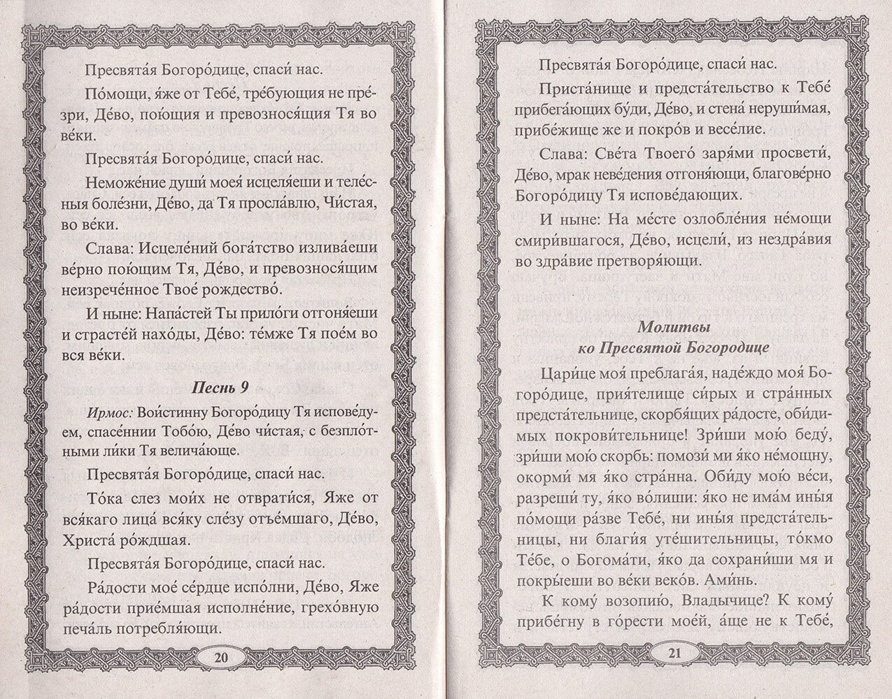 Книга Живоносный источник икона Пресвятой Богородицы - фото №2