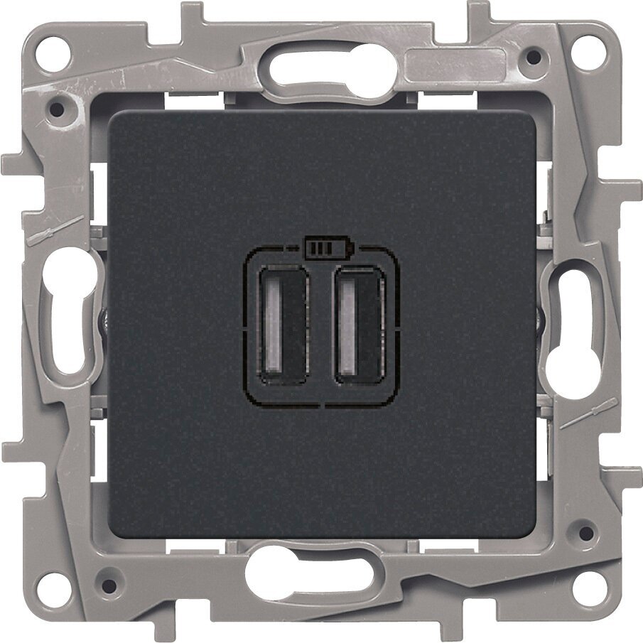 Legrand (Легранд) Зарядка USB двойная 2400мА цвета антрацит, Etika 672694