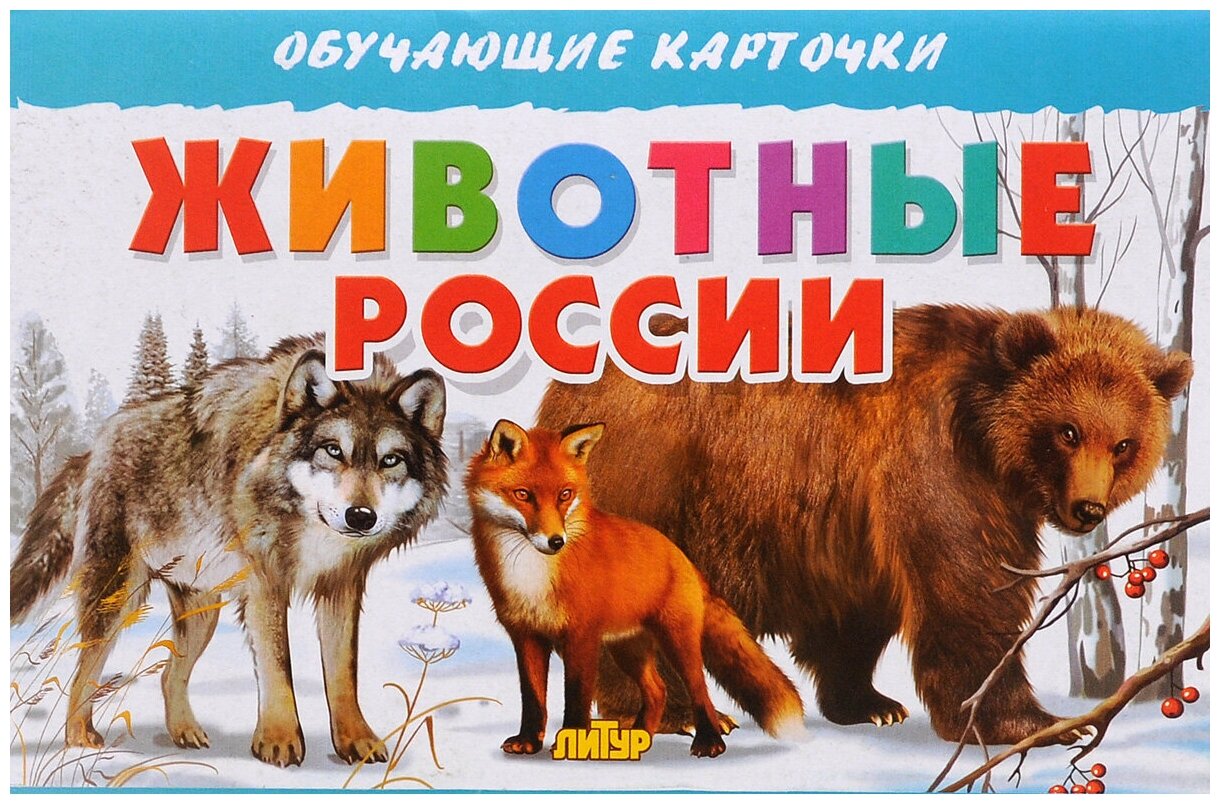 Обучающие карточки. Животные России - фото №1