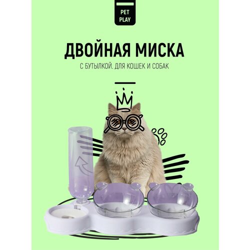 Кормушка-поилка с 2мя мисками и бутылочкой на подставке для кошек и собак мелких пород, кормушка с поилкой, комплект мисок для домашних животных 3 в 1