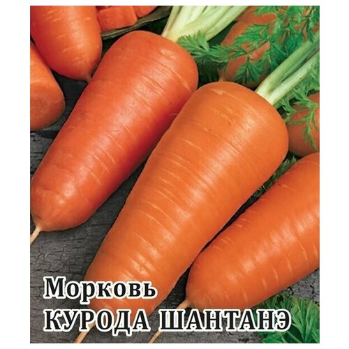 Гавриш Морковь Курода Шантанэ 25 граммрамм гранулы агрико морковь курода шантанэ 100 штук