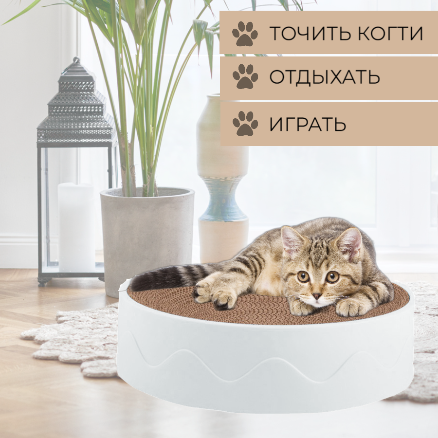 Когтеточка для кошек лежанка картонная, круглая, зеленая, 41 см - фотография № 4