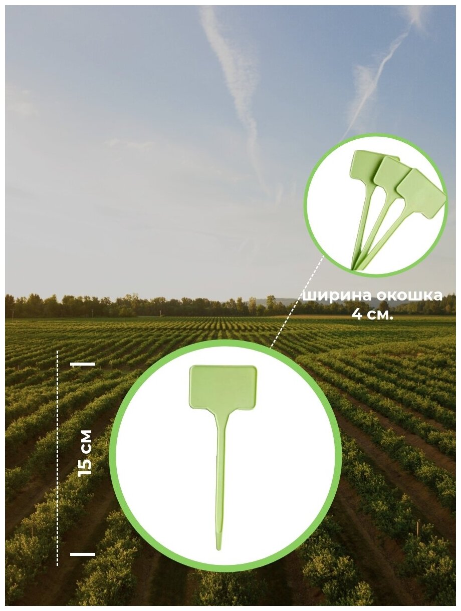 Садовые таблички зеленого цвета для маркировки растений 20 штук + наклейки +карандаш - фотография № 2
