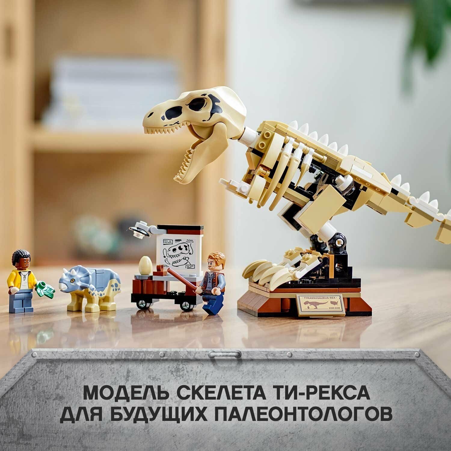 Конструктор LEGO Jurassic World Скелет тираннозавра на выставке - фото №13